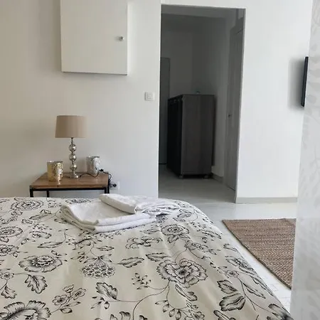 Bel Au Centre De Apartment *
